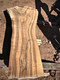 English Walnut